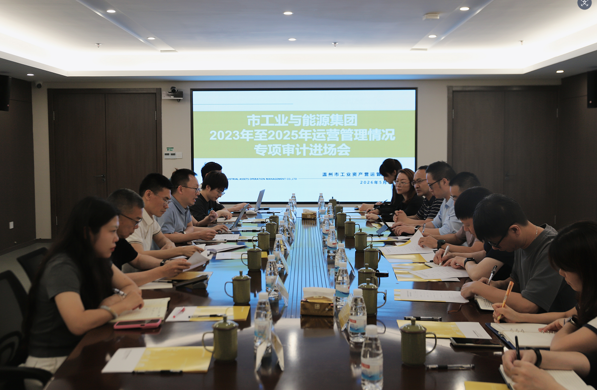 市国资委召开市工业与能源集团2023年至2025年运营管理专项审计进场会11.png